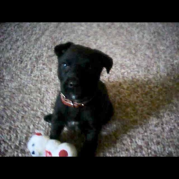 Meet your Posher, Kelly - Picture 3 of 10